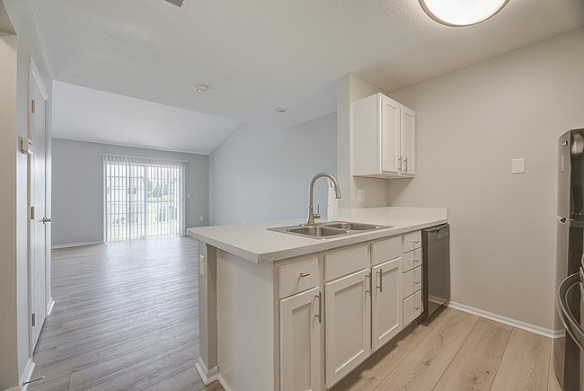 Open Kitchen and Living Room