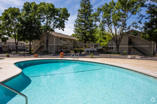 Piscina - Auburn Creek Apartments