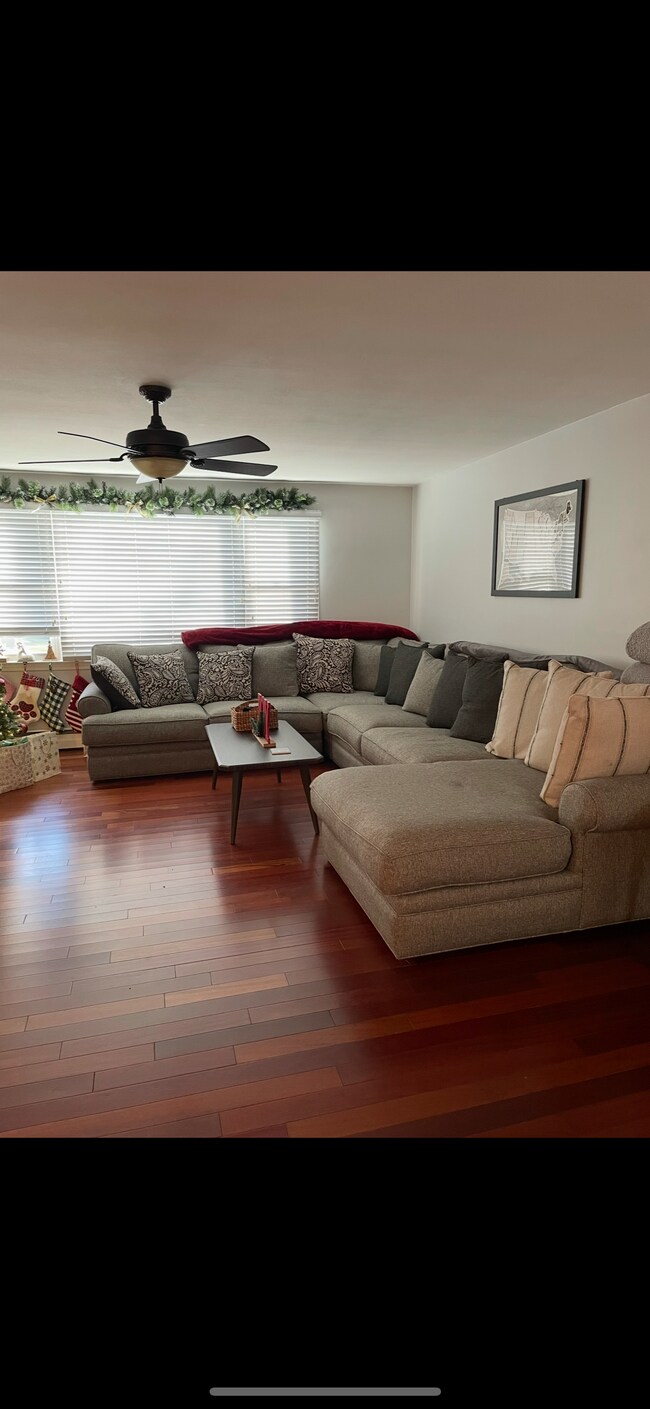 Photo - 166 Hall St