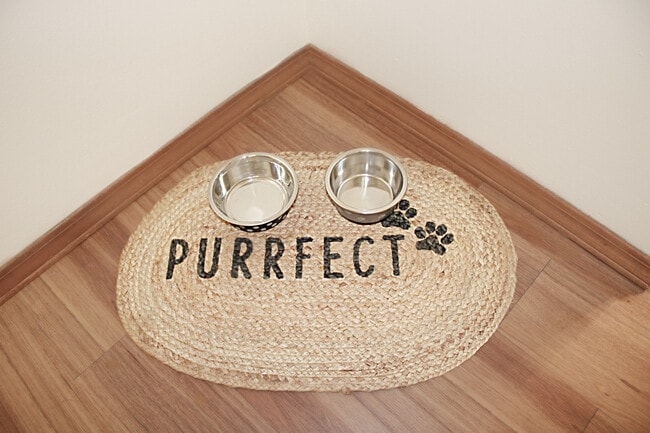 Pet Friendly
