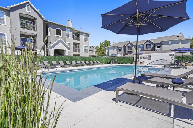 RESORT STYLE POOL | PRESTON HOLLOW - Preston Hollow Apartments