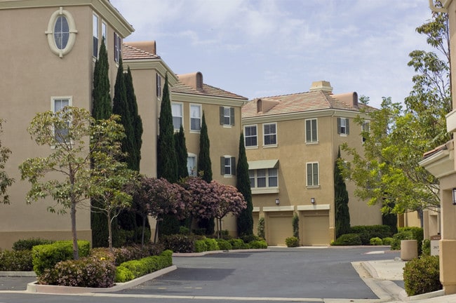 Newport Ridge Apartment Homes