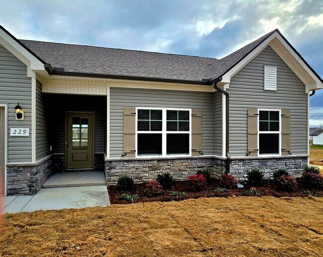 Photo - 229 Republic St