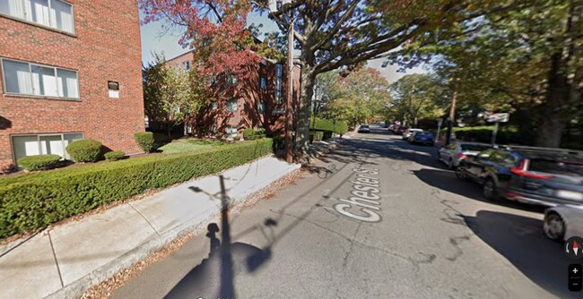 Photo - 10 Chester St