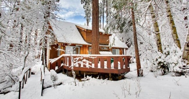 The Rockwell Cabin....Stream and bridge in... - The Rockwell Cabin....Stream and bridge in... House