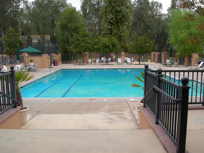 Pool - 23777 Mulholland Hwy