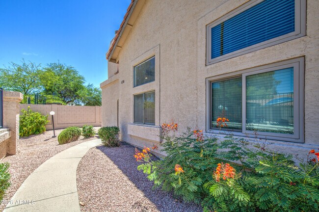 Photo - 2019 W Lemon Tree Pl