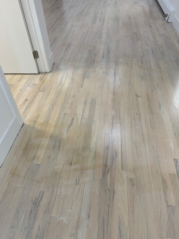 Photo - 768 Saratoga Ave