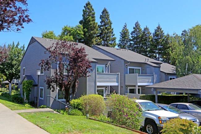 Plum Tree Apartments