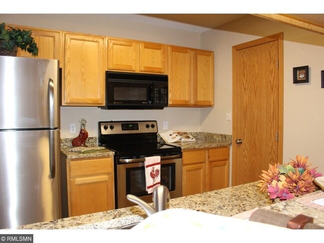 New cabinets, grannite countertops and new stainless steel appliances - 4415 Naper Bay