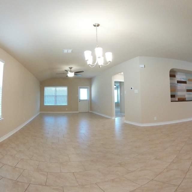 Photo - 15525 Gray Catbird