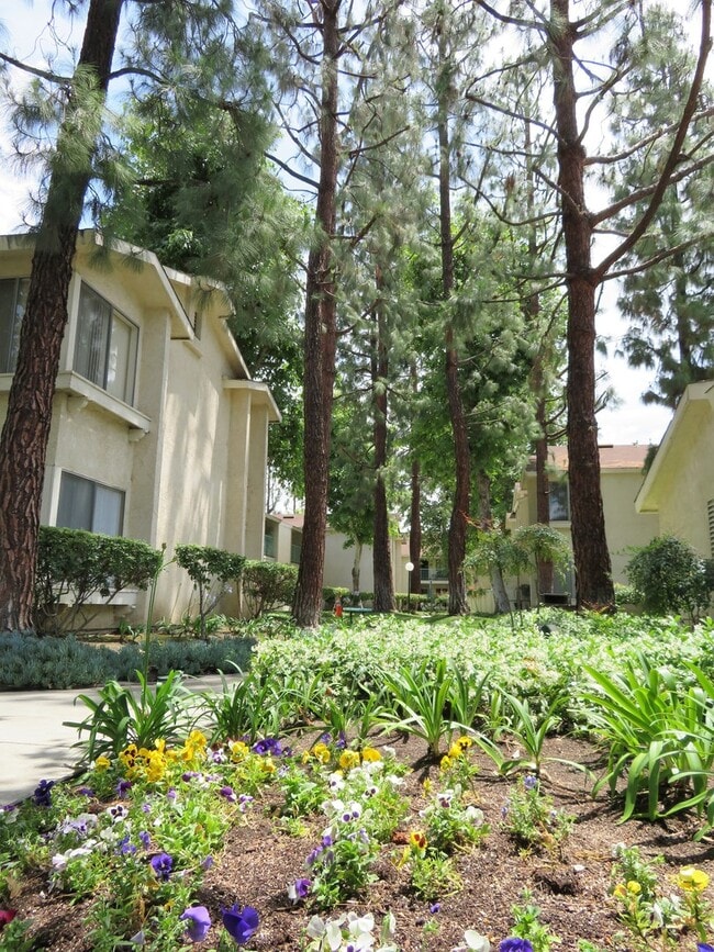 Jasmine Villas