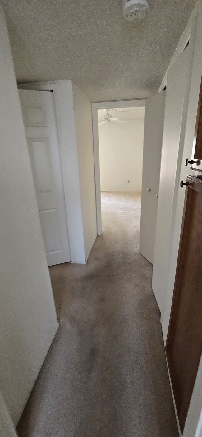 Photo - 5518 E Lindstrom Ln