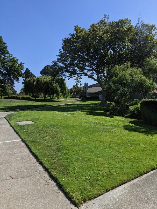 Photo - 1041 Grebe St