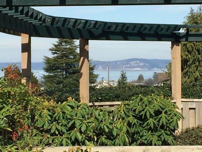 Downtown Edmonds Condo Rare 1 bed/1.5 bath... - Downtown Edmonds Condo Rare 1 bed/1.5 bath...