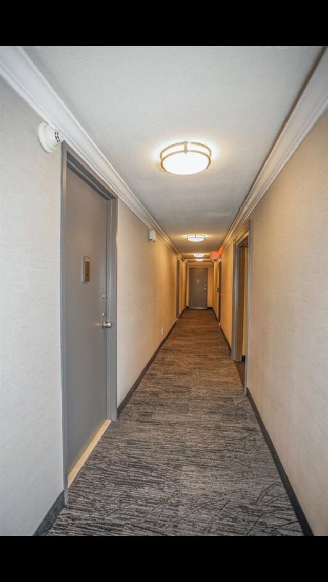 Photo - 7002 Kennedy Blvd E Unit 12 I