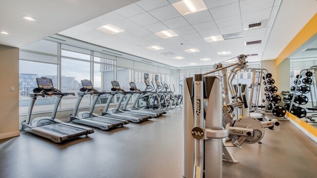 Check out our abundance of cardio and weightlifting equipment.