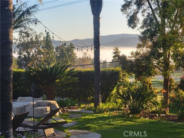 Photo - 10071 Highcliff Dr