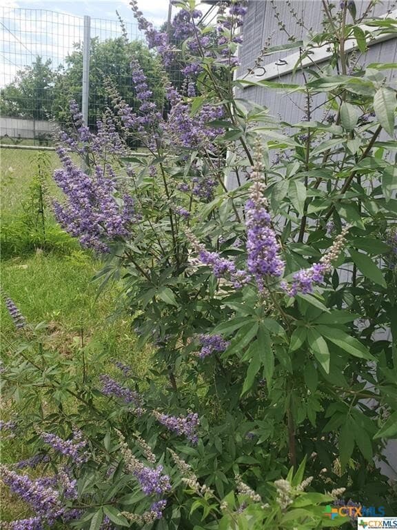 Photo - 1217 Craig St