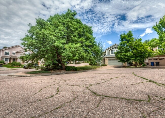Photo - Spacious 5 Bedroom in D20 centrally located