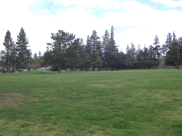 Photo - 3063 Westfield Avenue