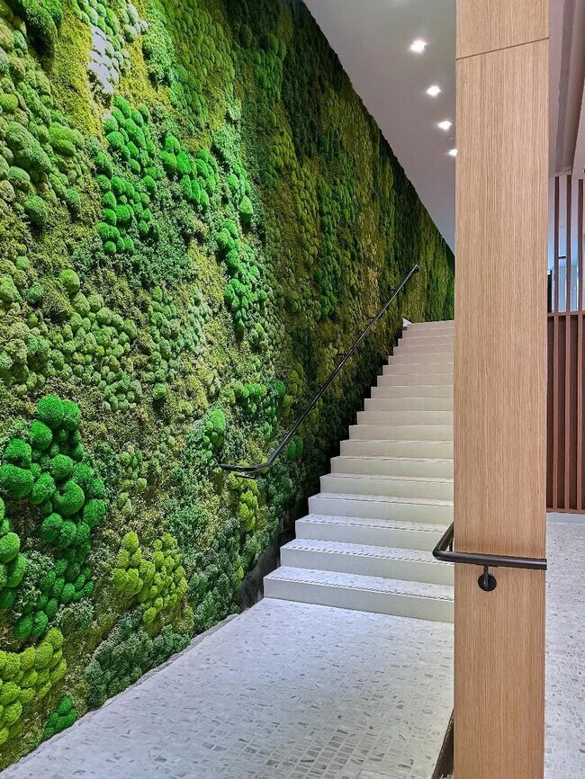 Photo - Forty Six Fifty