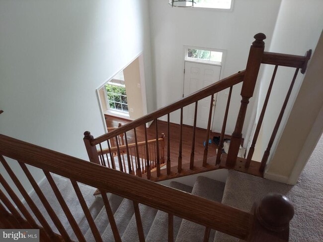 Photo - 24 Butcher Ct