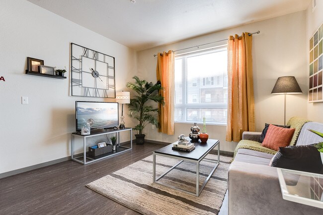 Living Room Area