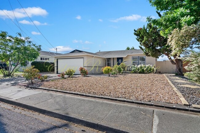 Photo - American Canyon Single Story Home!