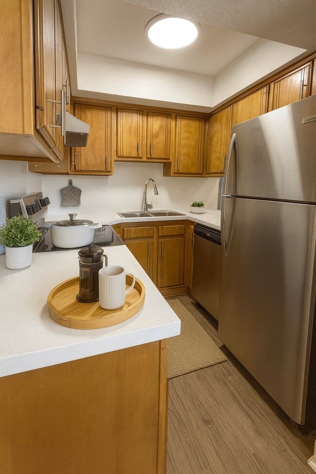 Photo - Summer Garden