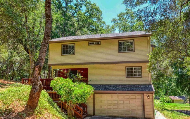 Photo - 19219 Ferretti Rd