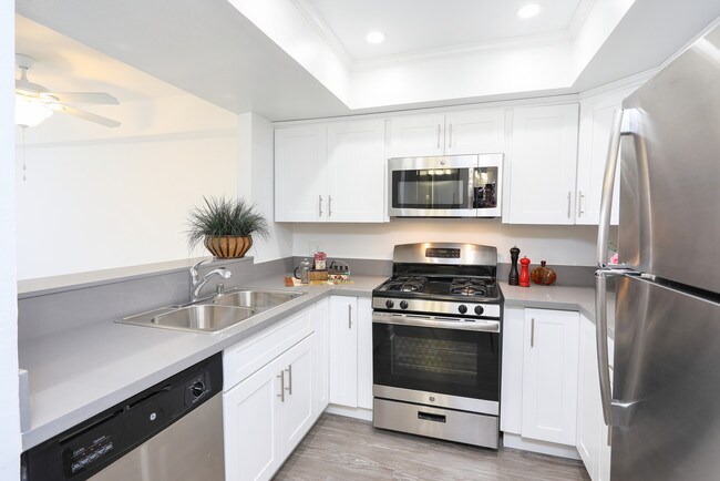 Photo - Kingsley Drive