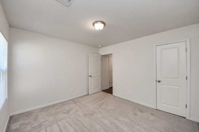 Photo - 164 Goldenrod