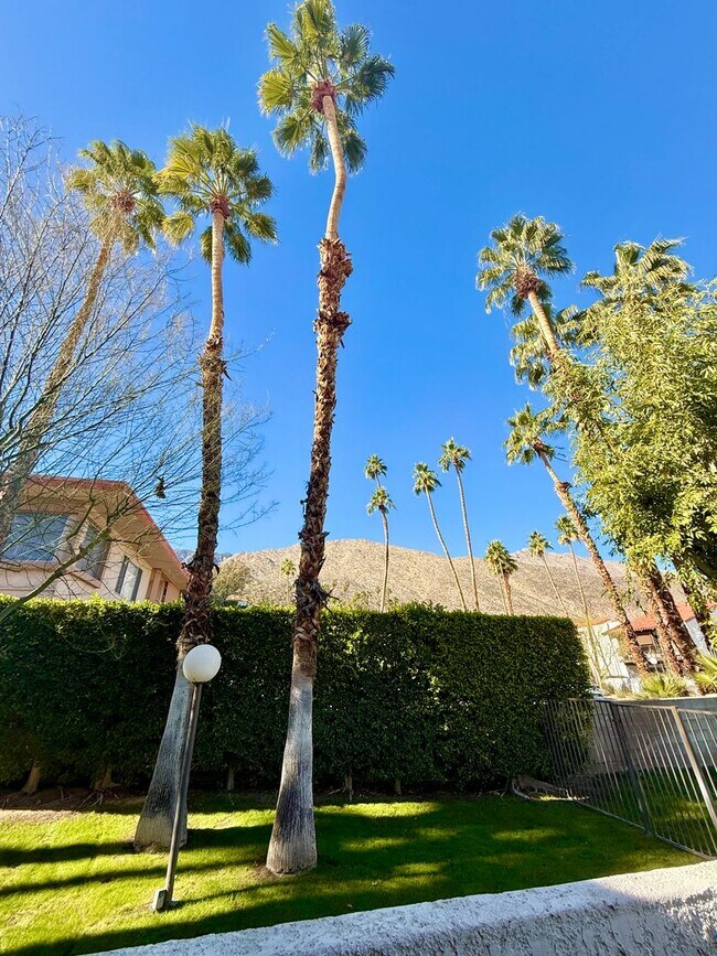 Photo - EXCELLENT South Palm Canyon Location - 3 Bedroom Condo - Long Term Unit 61