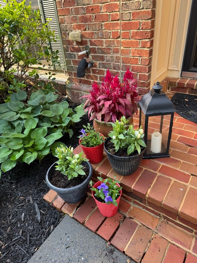 Photo - 11407 Iager Blvd