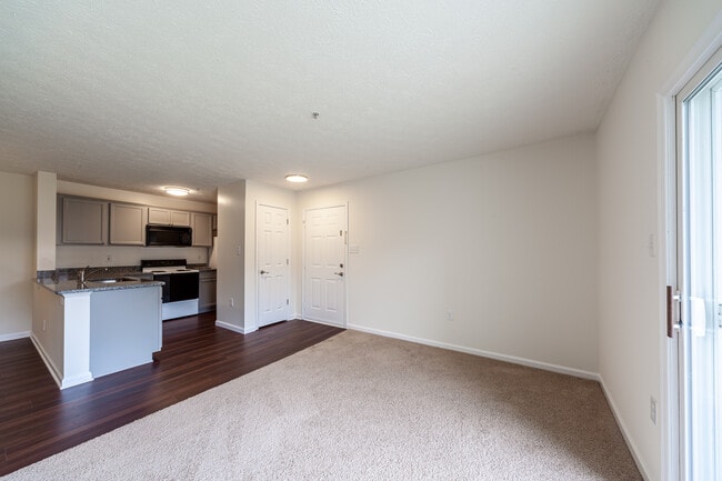 Renovated: Entry, Living Room, Kitchen