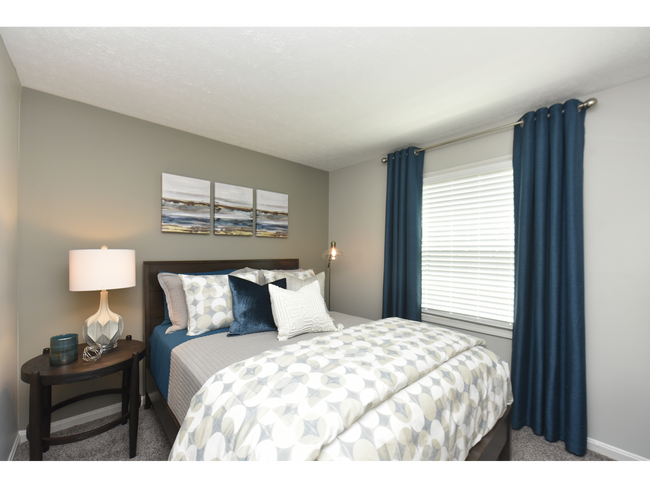 Cozy bedroom with carpet
