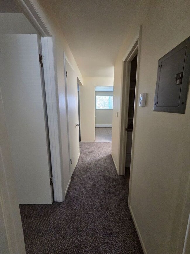 Photo - Charming 2-Bedroom Lower-Level Home in Brookwood Village!