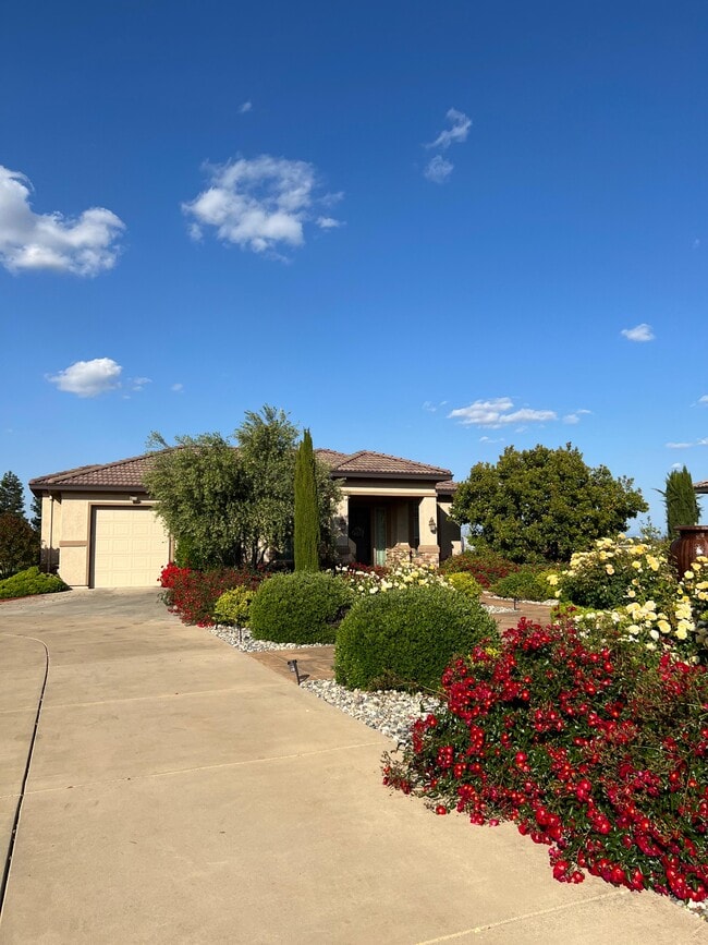 Photo - 9839 Trailhead Ct