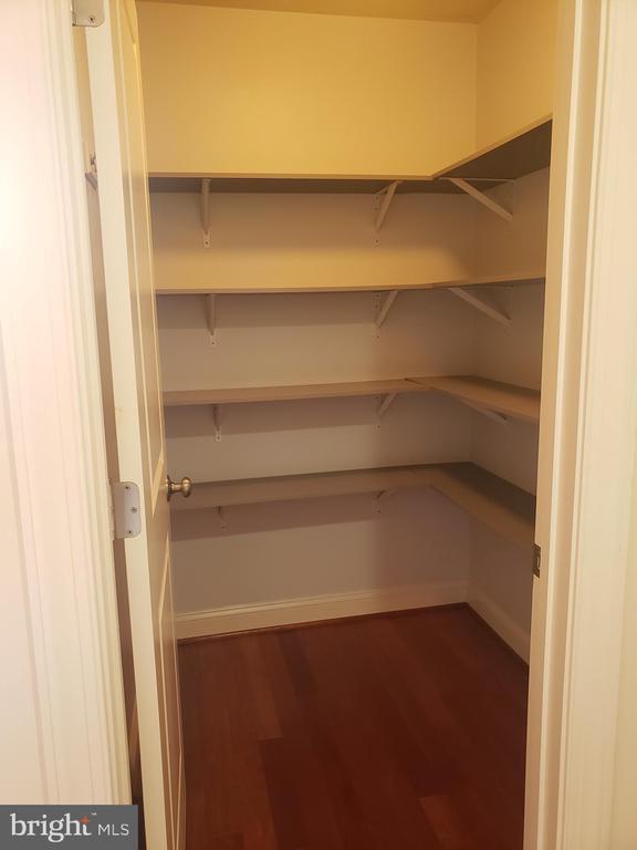 Photo - 23412 Evening Primrose Square