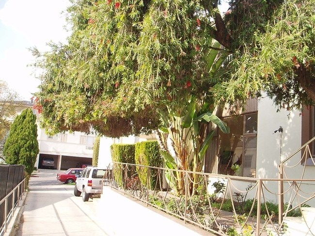 Photo - 556-558 Midvale Ave