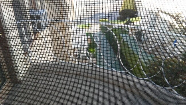 Photo - 6168 W Olympic Blvd Unit 70-5