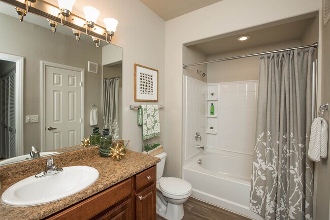 The Signature 575 SQFT 1 Bed 1 Bath