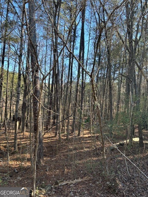 Photo - 295 Handley Ct