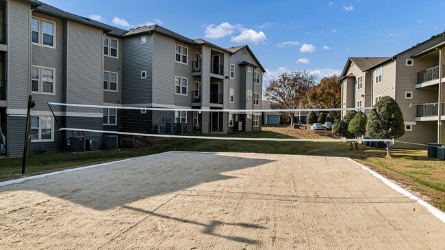 The Wilde - Amenities - Grill & Volleyball - The Wilde