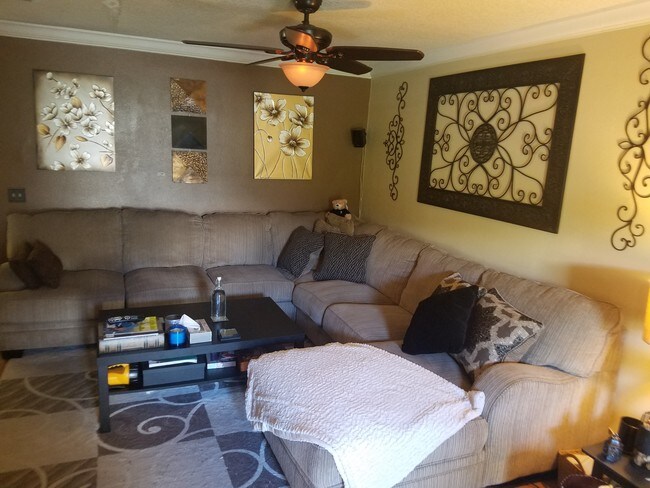 Large Living Room - 5678 Samter Ct