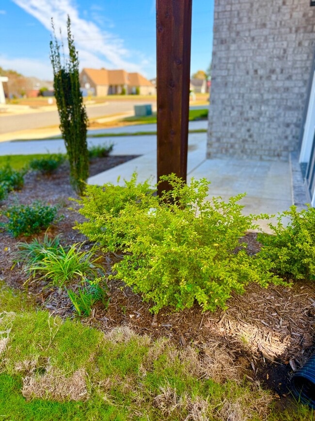 Photo - 4377 Ravenwood Park W