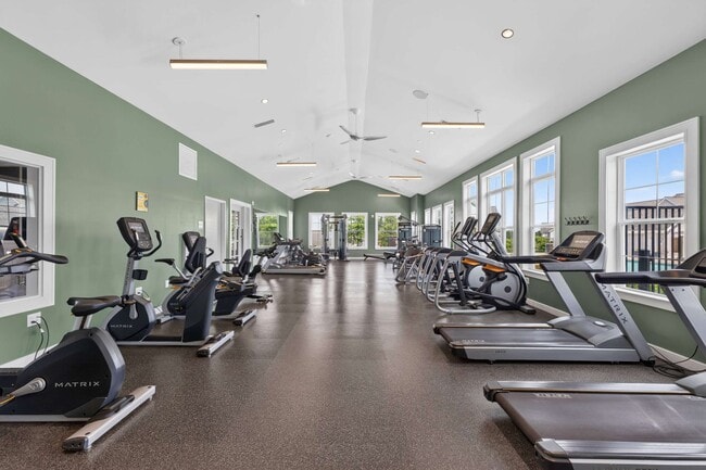Cardio runs down both walls, with windows on one side the full length.