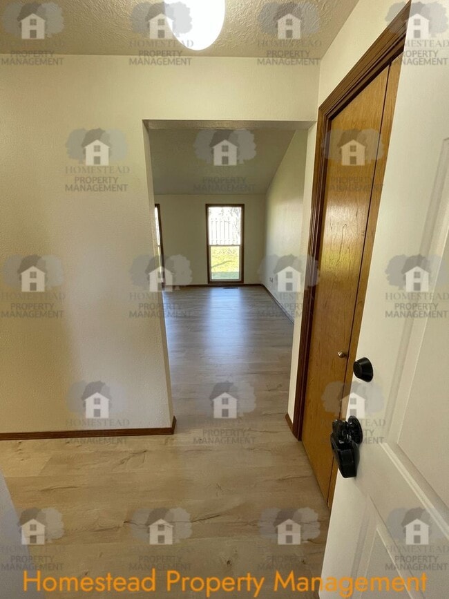 Photo - South Salem Cutie!