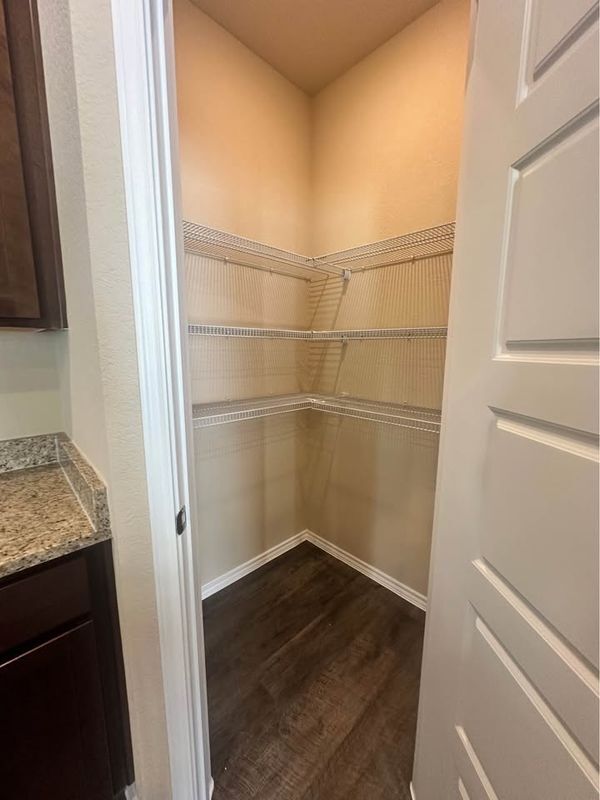 Photo - 2019 Marshall Mnrs